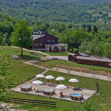 B&B Plitvice Lakes Villa Irene Селище Дрежницько Екстер'єр фото