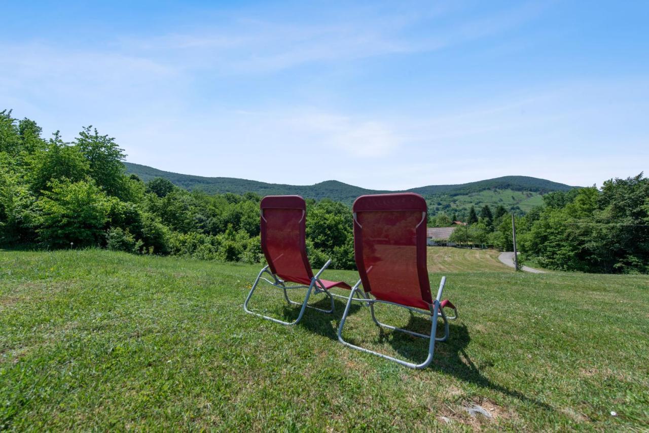 B&B Plitvice Lakes Villa Irene Селище Дрежницько Екстер'єр фото