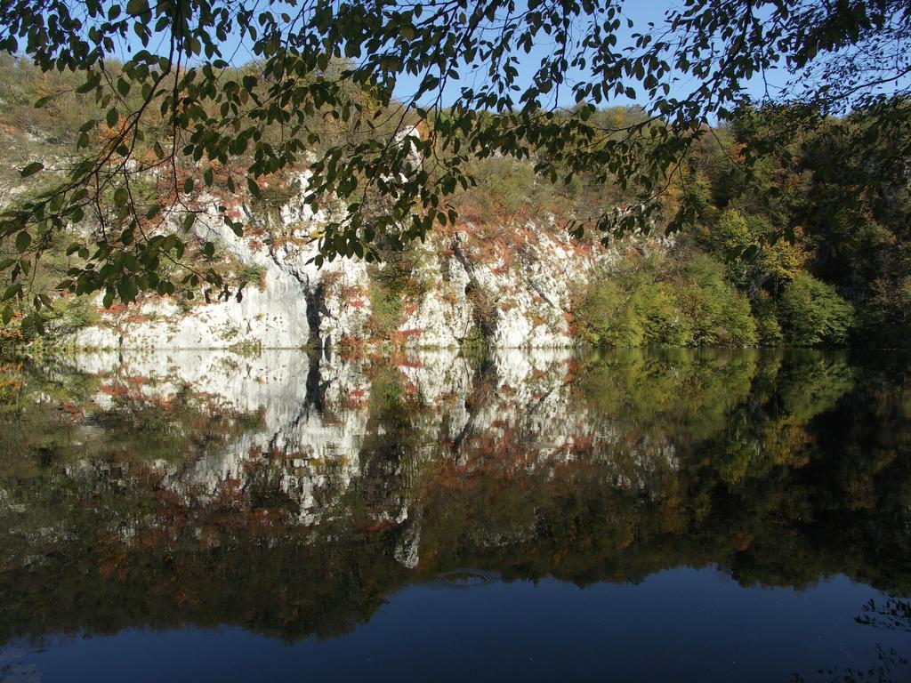 B&B Plitvice Lakes Villa Irene Селище Дрежницько Екстер'єр фото