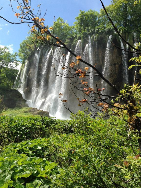 B&B Plitvice Lakes Villa Irene Селище Дрежницько Екстер'єр фото